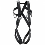 Full body harness